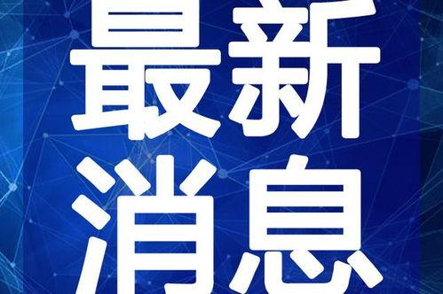 南康爆料歹徒视频最新,网友视频记录惊心动魄瞬间